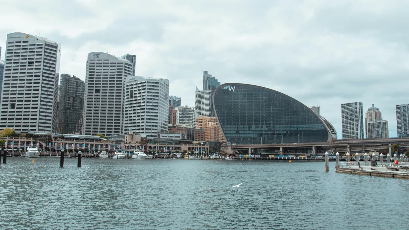 Darling Harbour waterfront showing hotels and the W Sydney