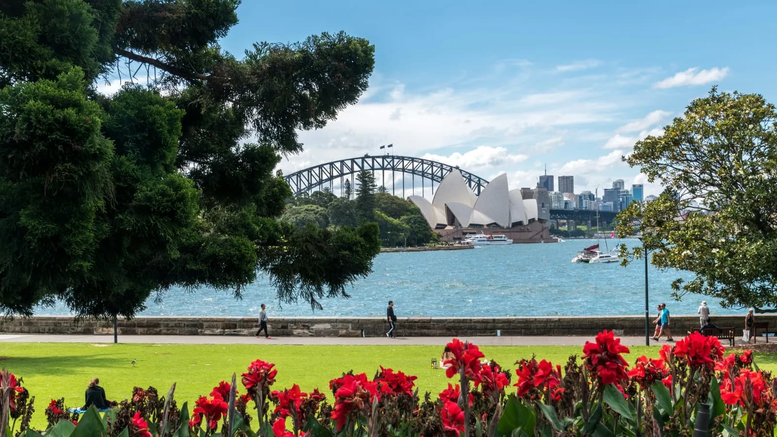 Sydney Opera House and Harbour Bridge viewed across the harbour from a waterfront garden