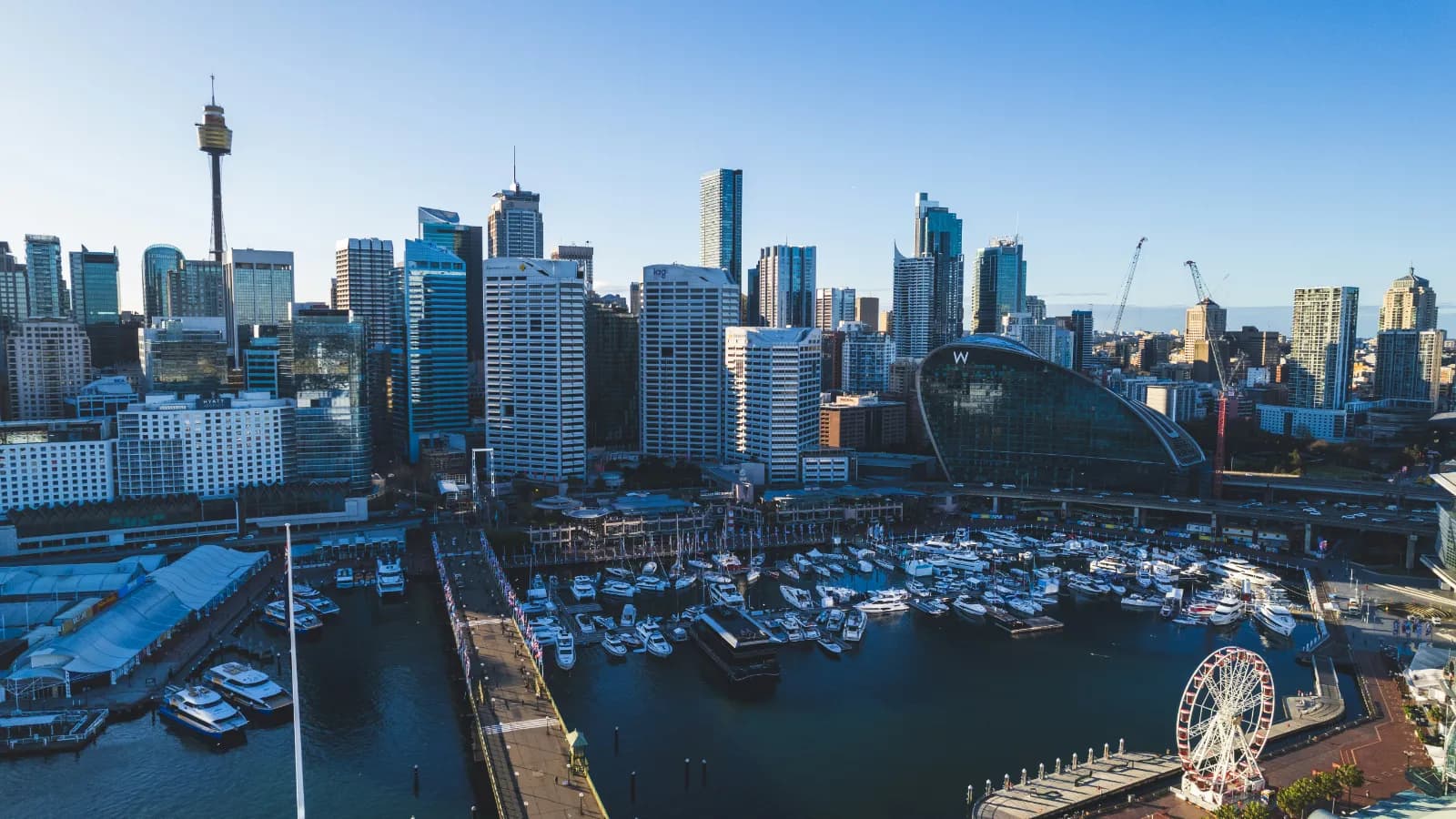 Darling Harbour marina and Sydney CBD skyline